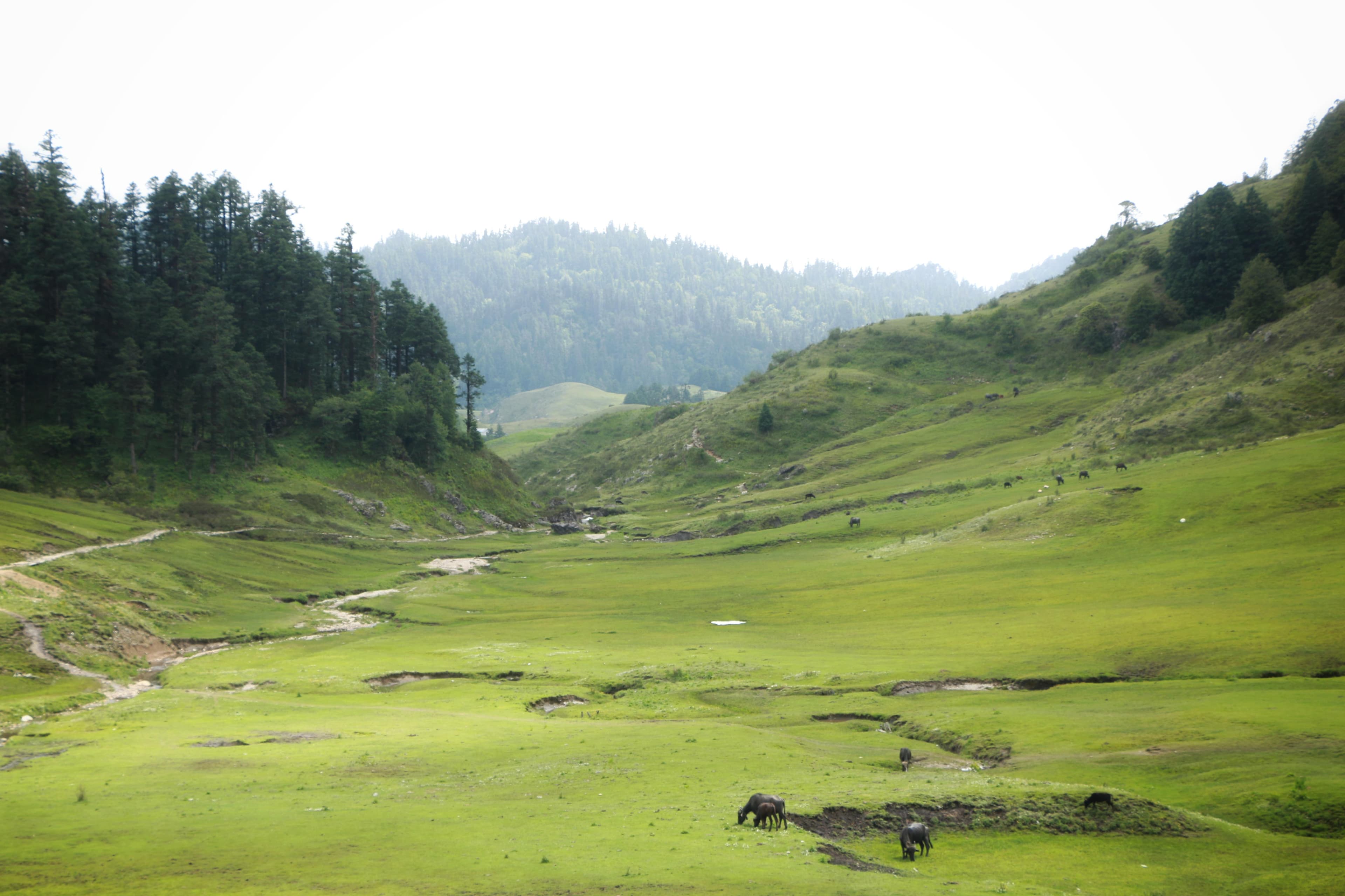 Khaptad National Park Trek