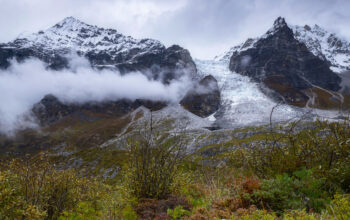 Langtang himalayan range seen during Langtang Gosainkunda trek